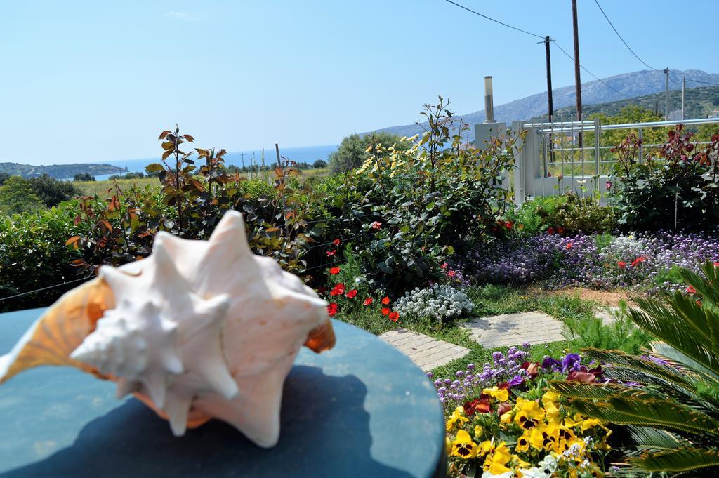 Sandra'S Sea View At Sounio Kaap Soenion Buitenkant foto